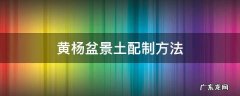 黄杨盆景土配制方法 黄杨盆景用什么土栽培