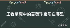 王者荣耀里面蔷薇珍宝阁在哪 王者荣耀中的蔷薇珍宝阁在哪里