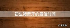新生仔猪剪牙一般在什么时候?剪掉几颗牙? 初生猪剪牙的最佳时间