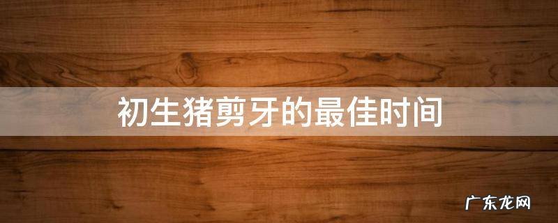 新生仔猪剪牙一般在什么时候?剪掉几颗牙? 初生猪剪牙的最佳时间