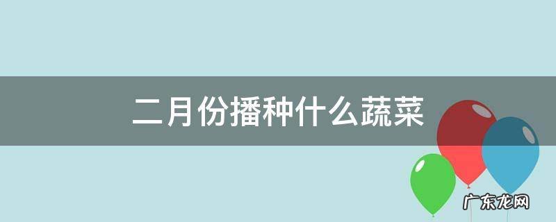 二月份可以播什么菜种 二月份播种什么蔬菜