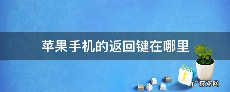 苹果手机的返回键在哪里打开 苹果手机的返回键在哪里