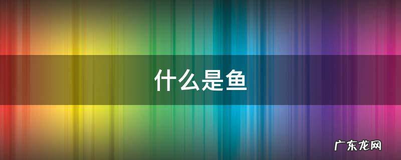 什么是鱼腥草 什么是鱼