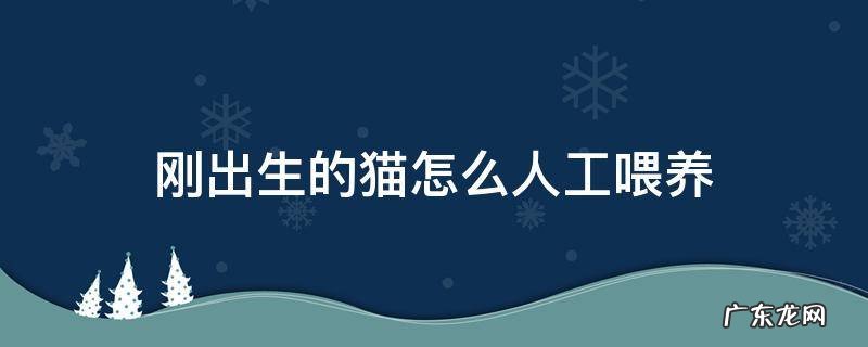 刚出生的猫怎么人工喂养用什么喂 刚出生的猫怎么人工喂养