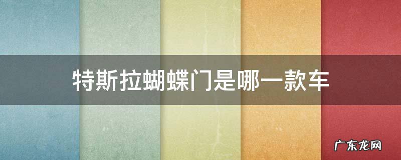 特斯拉蝴蝶门是哪一款车 特斯拉蝴蝶门是什么车
