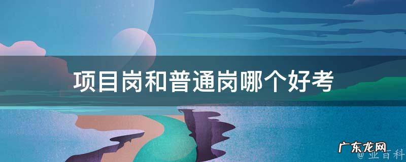 项目岗和普通岗哪个好考 项目岗和普通岗哪个好考些