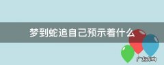 梦到蛇追自己预示着什么周公解梦 梦到蛇追自己预示着什么