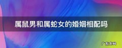 属鼠男和属蛇女的婚姻相配吗 属蛇女属鼠男的婚姻是否相配