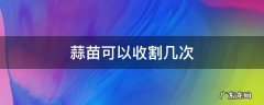 蒜苗可以收割几次 蒜苗能割几次