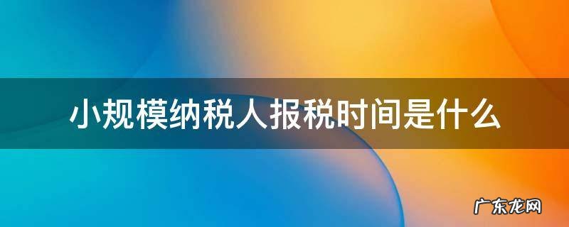 一般纳税人和小规模报税时间 小规模纳税人报税时间是什么