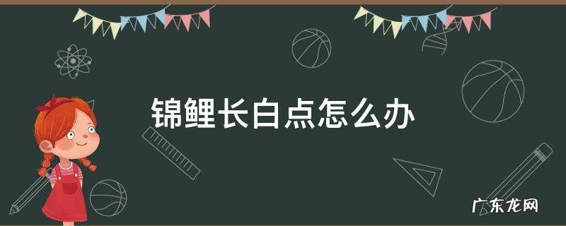 锦鲤身上有白点儿怎么办? 锦鲤长白点怎么办
