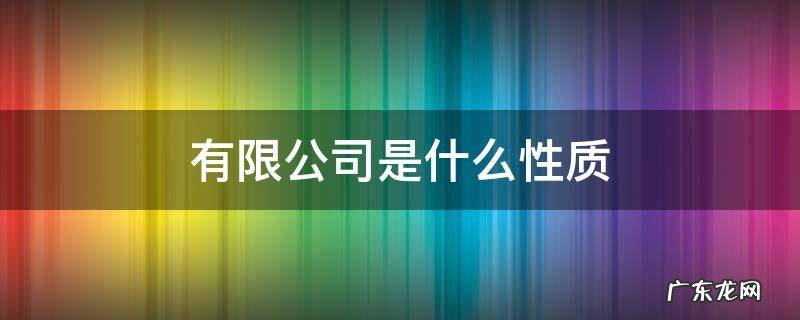 有限公司是什么性质 其他股份有限公司是什么性质