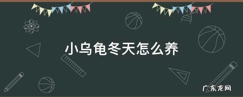 小乌龟冬天怎么养 小乌龟冬天怎么养 要冬眠吗?