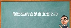刚出生的仓鼠宝宝怎么办 刚生出来的仓鼠怎么办