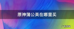 原神蒲公英在哪里卖 原神蒲公英在哪里买