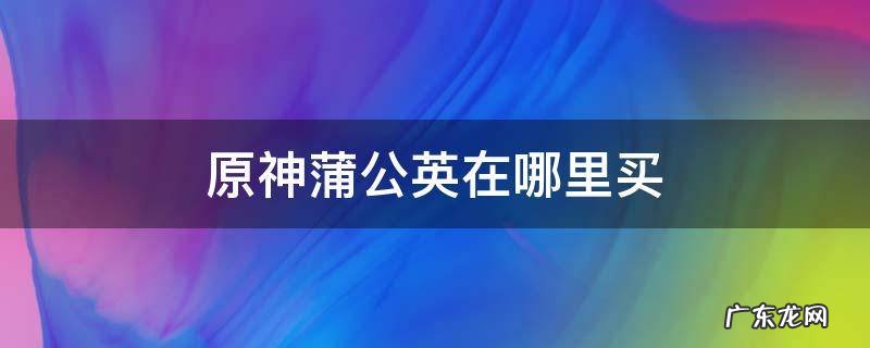 原神蒲公英在哪里卖 原神蒲公英在哪里买