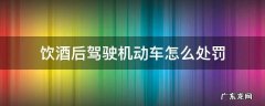饮酒后驾驶机动车怎么处罚 饮酒驾驶机动车怎样处罚?
