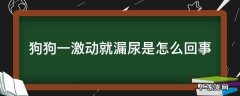 狗狗一激动就漏尿是怎么回事 狗狗激动了就漏尿