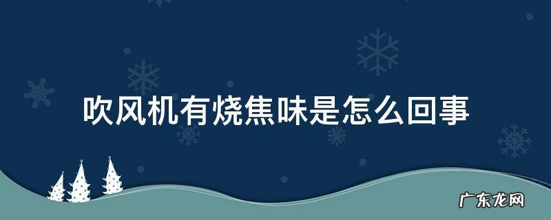 吹风机有一股烧焦的味道是怎么回事 吹风机有烧焦味是怎么回事
