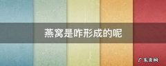 燕窝是咋形成的呢 请问燕窝是怎么形成的