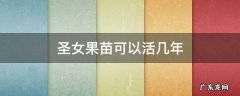 圣女果苗可以活几年 圣女果种植几天出苗