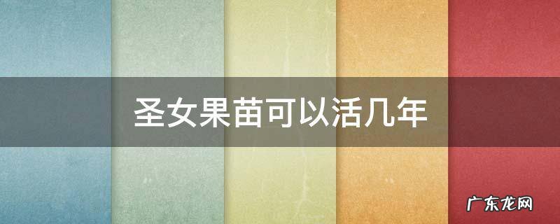 圣女果苗可以活几年 圣女果种植几天出苗