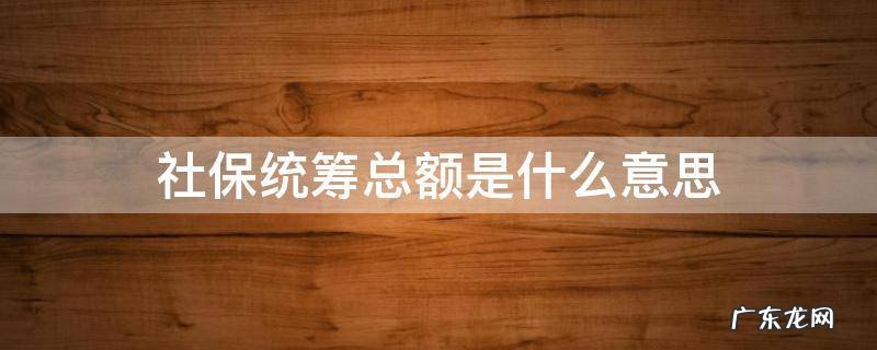 社保统筹总额是什么意思 社保费缴纳统筹总额是什么意思