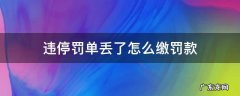 违停罚单怎么办 违停罚单丢了怎么缴罚款