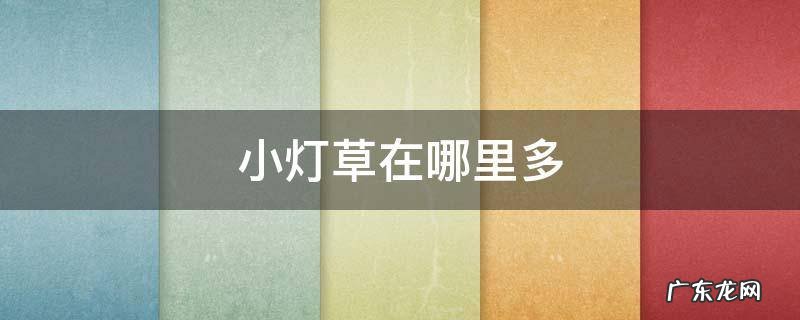小灯草具体位置 小灯草在哪里多