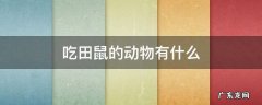 什么东西吃田鼠 吃田鼠的动物有什么