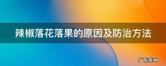 辣椒落花落果的原因及防治方法 辣椒落花落果的原因及防治方法是什么