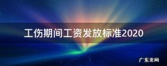 工伤期间工资发放标准2020 工伤期间工资发放标准2020惠州