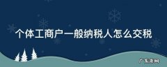个体工商户一般纳税人怎么交税 个体工商户一般纳税人怎么交税