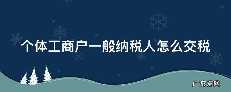 个体工商户一般纳税人怎么交税 个体工商户一般纳税人怎么交税