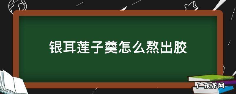 银耳莲子羹怎么熬出胶 银耳莲子粥怎么熬出胶