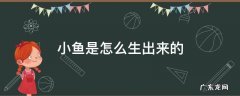小鱼是怎么生出来的 鱼是怎么生出小鱼的