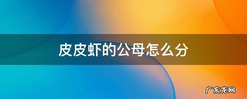 皮皮虾分公母吗? 皮皮虾的公母怎么分