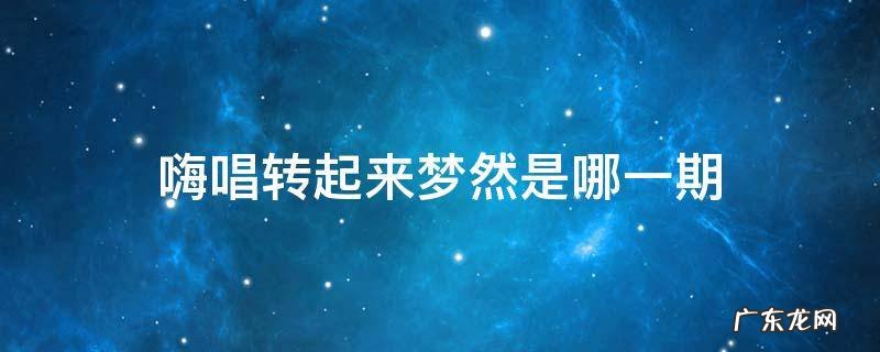湖南卫视嗨唱转起来梦然 嗨唱转起来梦然是哪一期