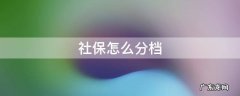 社保怎么分档位 社保怎么分档
