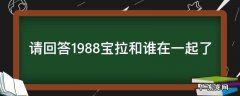 请回答1988宝拉跟谁结婚 请回答1988宝拉和谁在一起了