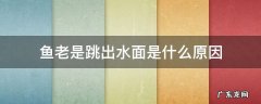 鱼总是跳出水面什么原因 鱼老是跳出水面是什么原因