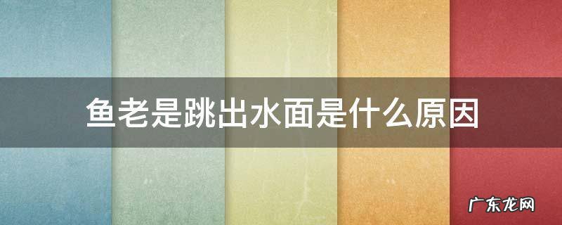 鱼总是跳出水面什么原因 鱼老是跳出水面是什么原因