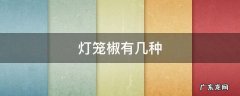 灯笼椒的种类 灯笼椒有几种