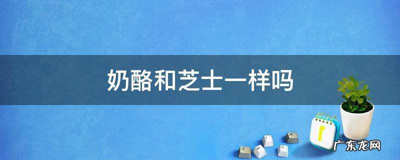奶酪和芝士一样吗? 奶酪和芝士一样吗