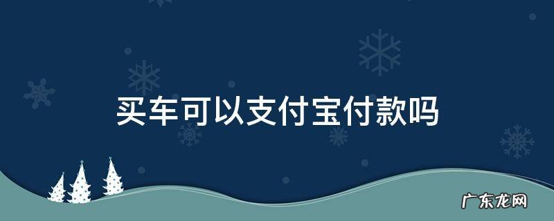 买车可以支付宝付款吗有限额吗 买车可以支付宝付款吗
