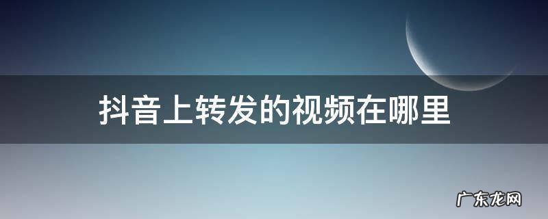 抖音上转发的视频在哪里 抖音上转发的视频
