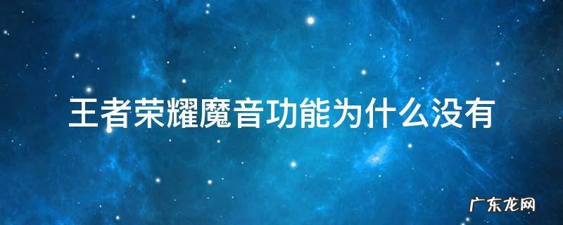 王者荣耀魔音用不了 王者荣耀魔音功能为什么没有
