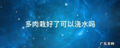 多肉刚栽好可以浇水吗 多肉栽好了可以浇水吗