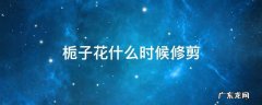 栀子花什么时候修剪 栀子花什么时候修剪枝