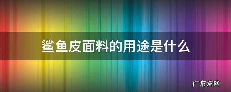 鲨鱼皮面料的用途是什么 鲨鱼皮的衣服是什么材质